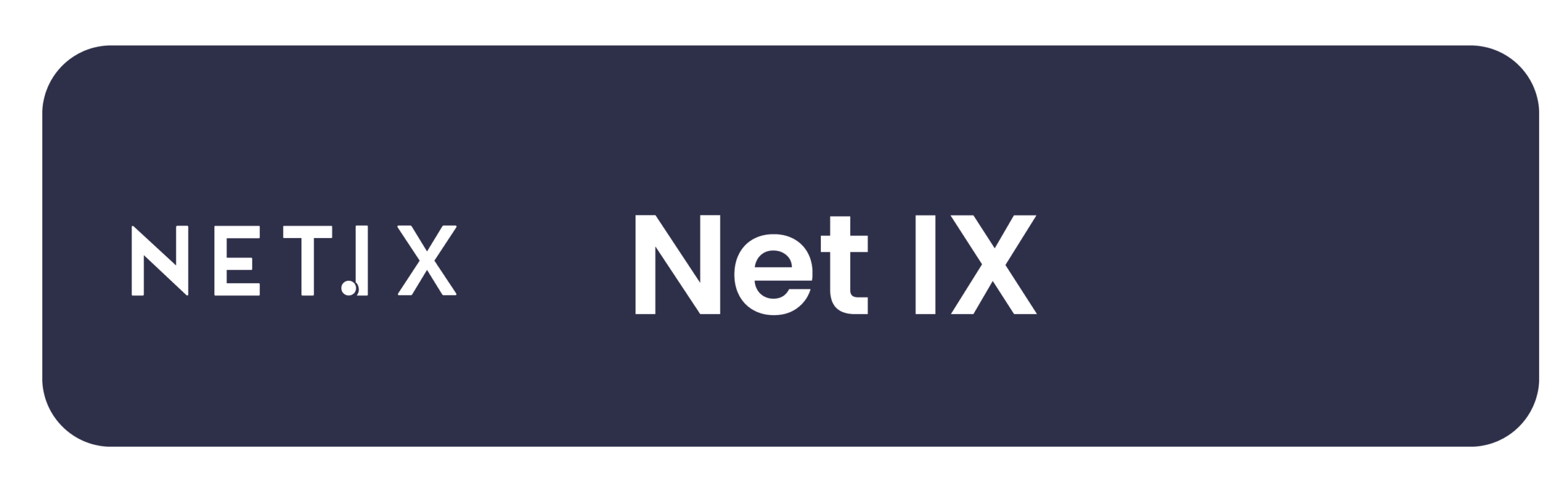 Logo-_NETIX